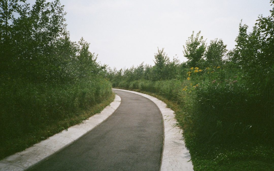 A Bend in the Road
